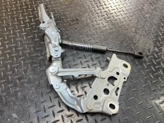 Петля капота передняя правая 5 2020 G31 B47D20B