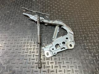 Петля капота передняя правая 5 2020 G31 B47D20B