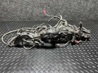 Основная проводка BMW r1250gs 2020 Б/У Основная проводка BMW r1250gs 2020