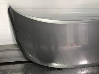Капот Starex H1 H1