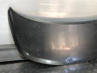 Капот Starex H1 H1