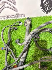 Проводка двигателя коса жгут проводов DUCATO 2018 290 EURO 6 2