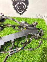 Проводка двигателя коса жгут проводов DUCATO 2018 290 EURO 6 2