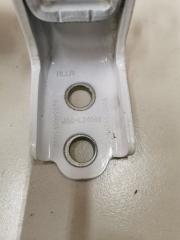 Петля двери нижняя задняя левая 3