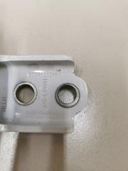 Петля двери нижняя задняя левая 3