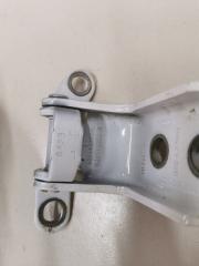 Петля двери нижняя задняя левая 3