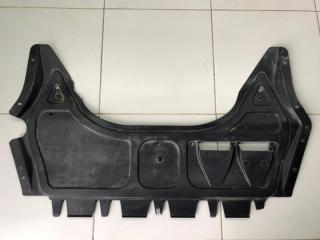 Пыльник двигателя центральный Volkswagen Passat B7 2012