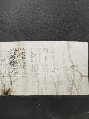 Накладка на решетку радиатора передняя GV80