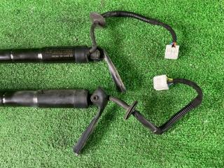 Амортизатор багажника X-TRAIL HNT32 MR20DD Амортизатор багажника X-TRAIL HNT32 MR20DD
