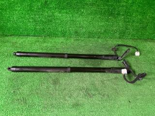 Амортизатор багажника X-TRAIL HNT32 MR20DD Амортизатор багажника X-TRAIL HNT32 MR20DD