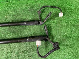 Амортизатор багажника X-TRAIL HNT32 MR20DD Амортизатор багажника X-TRAIL HNT32 MR20DD