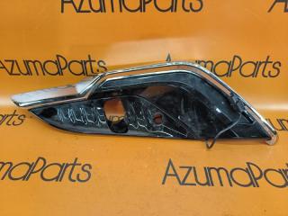 Ободок туманки правый передний TOYOTA ALPHARD AGH40W 52030-V2060 1 ракурс