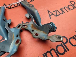 Петля капота TOYOTA SIENTA NCP81G 5 ракурс Петля капота TOYOTA SIENTA NCP81G 5 ракурс