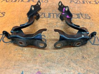 Петля капота TOYOTA SIENTA NCP81G 4 ракурс Петля капота TOYOTA SIENTA NCP81G 4 ракурс