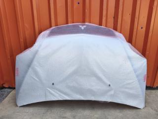 Капот MITSUBISHI DION CR9W 1 ракурс