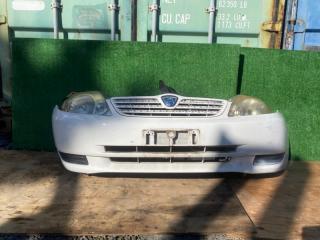 Nose cut TOYOTA ALLEX