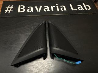 Вч динамик Hi-Fi BMW 5' F90 M5 5' G30 5' G31 5' G38 6' G32 GT 7' G11 7' G11 LCI 7' G12 7' G12 LCI