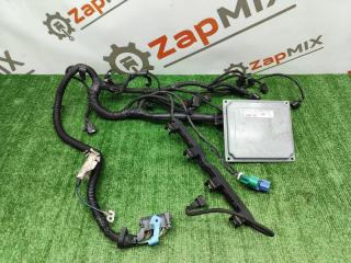 Проводка ДВС Ford Focus 2009