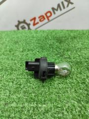 Патрон лампы Ford Focus 2009