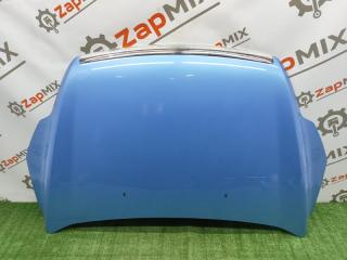 Капот Ford Focus 2010