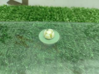 Стекло двери переднее левое Fusion 2010 Хэтчбек FYJA