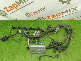 Проводка ДВС Ford Focus 2005