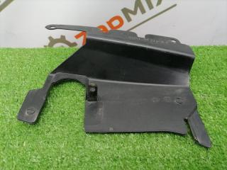 Дефлектор радиатора Ford Focus 2009