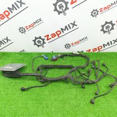 Проводка ДВС Ford Focus 2008