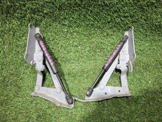 Амортизатор двери багажника RX-8 2004 SE3P 13B-MSP