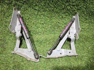 Амортизатор двери багажника RX-8 2004 SE3P 13B-MSP