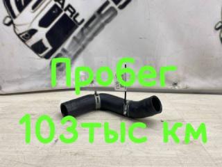 Запчасть патрубок радиатора нижний Subaru Legacy B4 2003 #31 (ПРОБЕГ 103 535км)