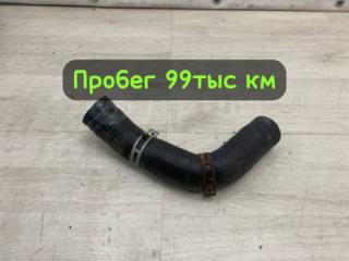 Запчасть патрубок радиатора нижний Subaru Outback 2007 #26 (ПРОБЕГ 99 478км)