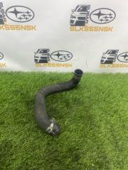 Запчасть патрубок радиатора нижний Toyota VOLTZ 2002г #73 (ПРОБЕГ 89 181km)