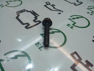 Запчасть болт шкива коленвала Chery Tiggo3