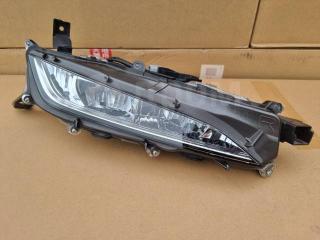 Фара противотуманная передняя правая Lexus RX300 2019-2022