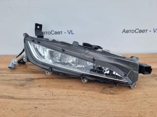 Фара противотуманная передняя правая Lexus RX350 2019-2022