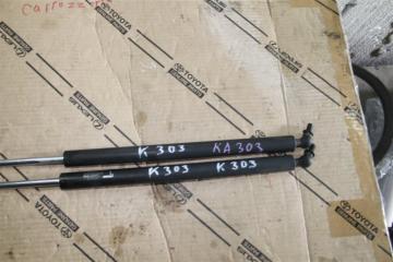 Амортизатор задней двери HONDA STREAM RN8, RN6, RN9 R18A, R20A 2 ракурс
