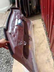 Капот Nissan Leaf aze0 em57 5 ракурс