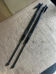 Амортизатор задней двери Nissan ELGRAND NE51 VQ35 1 ракурс