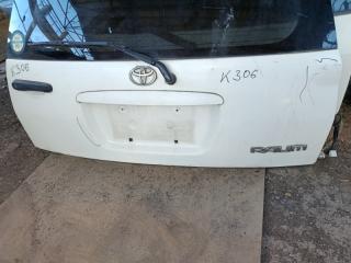 Дверь 5-я TOYOTA RAUM EXZ 10 5E 5 ракурс