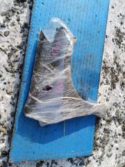 Крыло переднее правое HONDA EDIX контрактная Крыло переднее правое HONDA EDIX