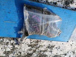 Крыло правое переднее NISSAN ELGRAND NE51 VQ35 1 ракурс