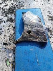 Крыло левое переднее NISSAN ELGRAND NE51 VQ35 1 ракурс