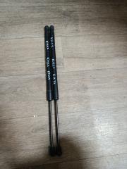 Амортизатор двери VOLKSWAGEN TOURAN 1t, WVGZZZ1TZ9W058356 BMY 1 ракурс