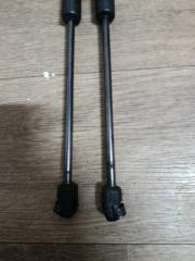 Амортизатор двери VOLKSWAGEN TOURAN 1t, WVGZZZ1TZ9W058356 BMY 3 ракурс