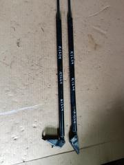Амортизатор двери NISSAN ELGRAND me51 vq25de 2 ракурс
