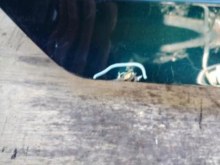 Накладка на бампер задняя TOYOTA TANK M900A 52159-b1020 4 ракурс