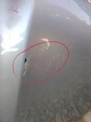 Бампер задний TOYOTA Wish ZNE10 1zz-fe 3 ракурс