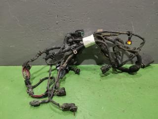 Проводка подкапотная Kia Spectra 2005