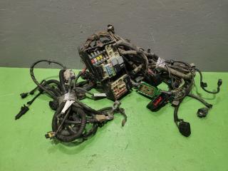 Проводка подкапотная Ford Focus 2008